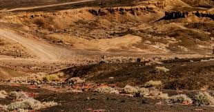 意甲-普利西奇制胜 米兰1-0国米升至第二 [意甲AC米兰]