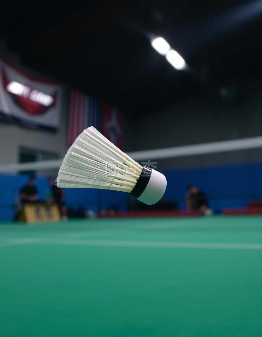 新生代的崛 新生代的崛